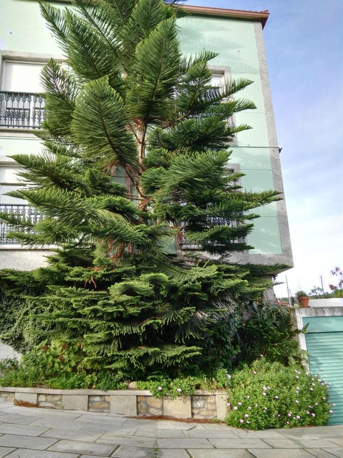 Pisos Vistalegre 2B Con Jardin Cerca Del Mar Apartment Санксенсо Екстериор снимка